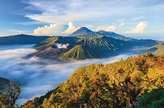 Bromo tour packages